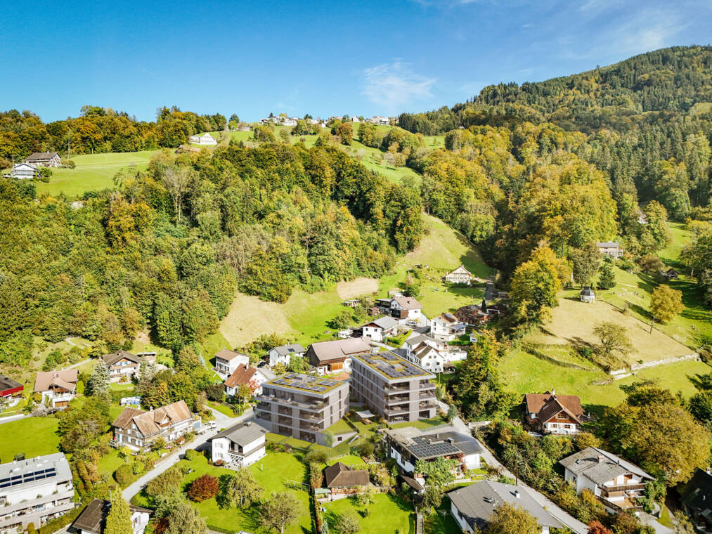 Eine Luftbildvisualisierung aus südwestlicher Perspektive ordnet die Wohnanlage am Fuße des Fallenbergs ein und macht ihre erhöhte Lage über dem Rheintal nachvollziehbar. Wohnanlage Fallenberggasse aus Südwesten