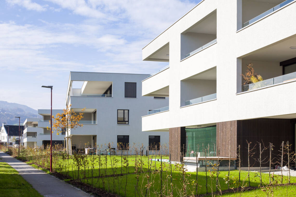 S&uuml;dostansicht_Wiesenstra&szlig;e_H&ouml;chst &copy; Dietmar Walser