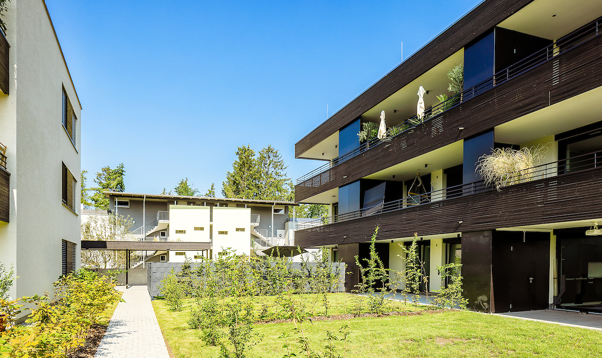 Wohnen am Giessen, Deltastrasse, Höchst Wohnen am Giessen, Deltastrasse, Höchst