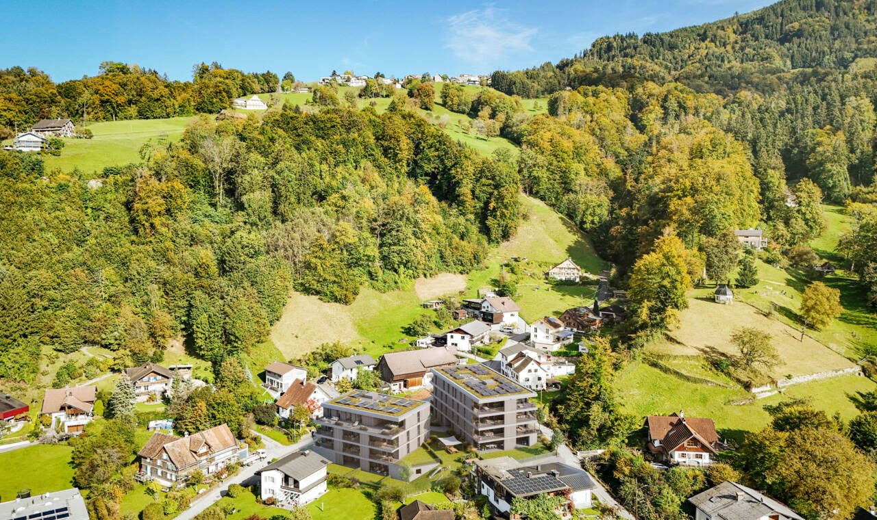 Fallenberggasse, Dornbirn-Luftbild-Südwest Fallenberggasse, Dornbirn-Luftbild-Südwest