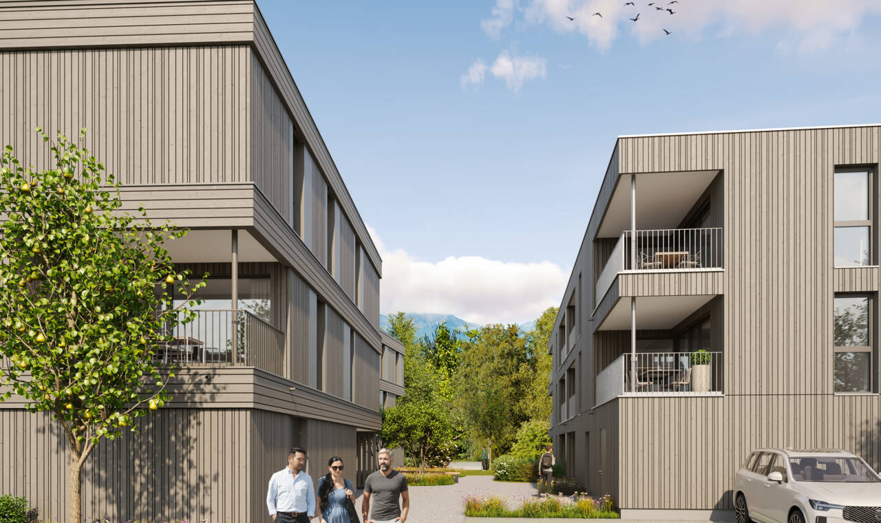 Bifangstrasse, Feldkirch-Ansicht-S&uuml;dost