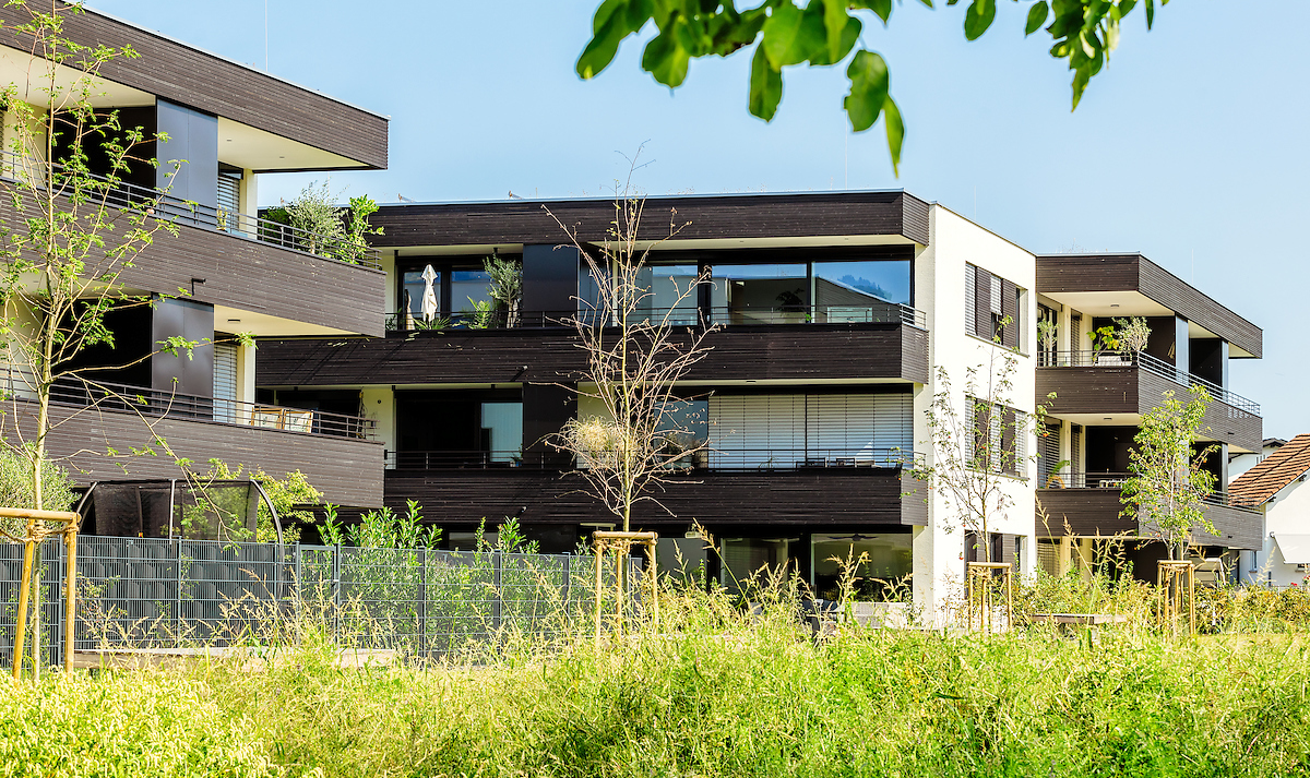 Wohnen am Giessen, Deltastrasse, Höchst Wohnen am Giessen, Deltastrasse, Höchst