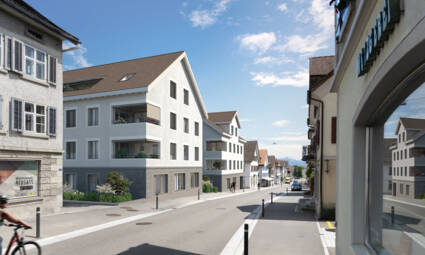 Aussenbilder 3 MFH Berneck_A1_Strasse_2 Aussenbilder 3 MFH Berneck_A1_Strasse_2