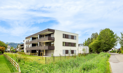 Wohnen am Giessen, Deltastrasse, Höchst