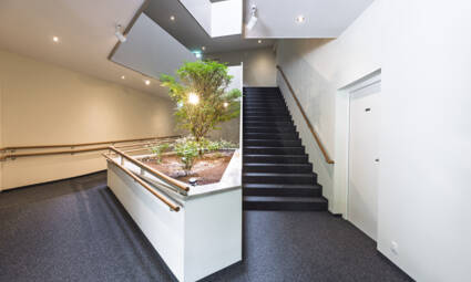 Wohnanlage Sebastianstraße, Feldkirch - Treppenhaus Wohnanlage Sebastianstraße, Feldkirch - Treppenhaus © (c) walser images