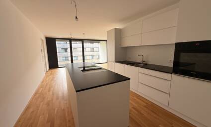 Hellbrunnenstra&szlig;e Hohenems Whg D11 K&uuml;che