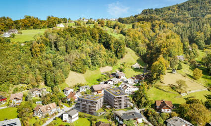 Fallenberggasse, Dornbirn-Luftbild-Südwest