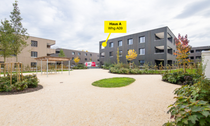 Am R&ouml;merstein, H&ouml;chst-Whg A09