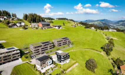 Engelspitz, Sulzberg-Luftbild-Nordost