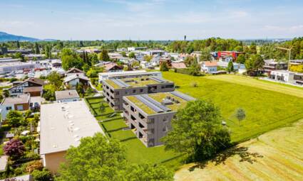 Weidenweg, Dornbirn-Luftbild-Südost