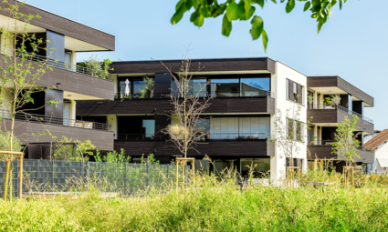 Wohnen am Giessen, Deltastrasse, Höchst