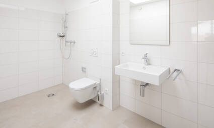 i+R Wohnbau WA Am R&ouml;merstein H&ouml;chst Haus A Top 10 Referenzfotografie 2024