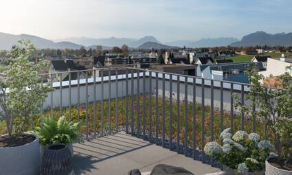 Poststrasse Widnau - Aussicht Poststrasse Widnau - Aussicht