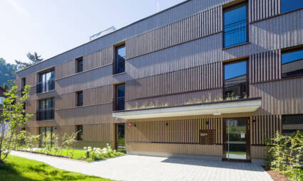 Haselstauderstraße Nordansicht Haselstauderstraße Nordansicht © (c) walser images