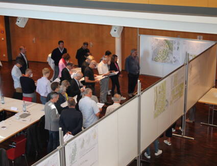 IMG_1651 IMG_1651