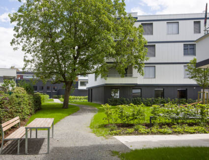 Außenanlage WA Lauterach