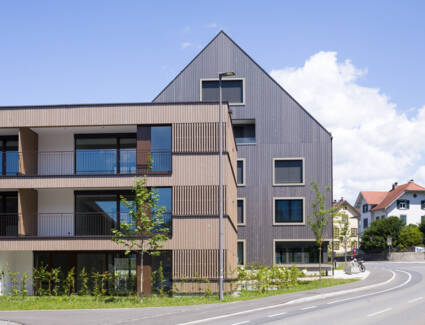 Haselstauderstraße Dornbirn 2025 (2) Haselstauderstraße Dornbirn 2025 (2)