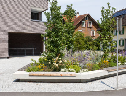 Sebastianstraße Feldkirch 2025 (16) Sebastianstraße Feldkirch 2025 (16)