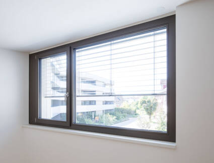 Fenster Fenster