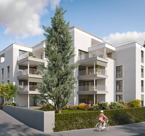 Riedergasse, Bregenz-Ansicht-Nordwest_01