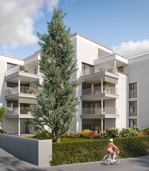 Riedergasse, Bregenz-Ansicht-Nordwest_01