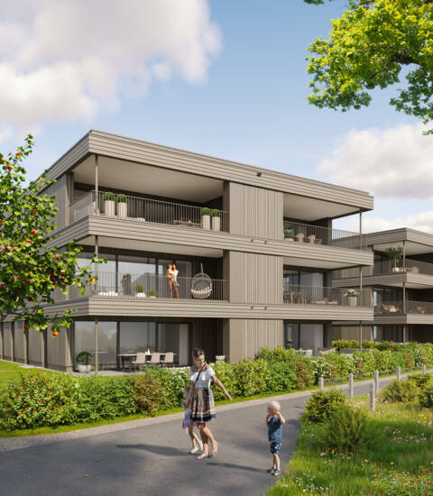 Bifangstrasse, Feldkirch-Ansicht-West