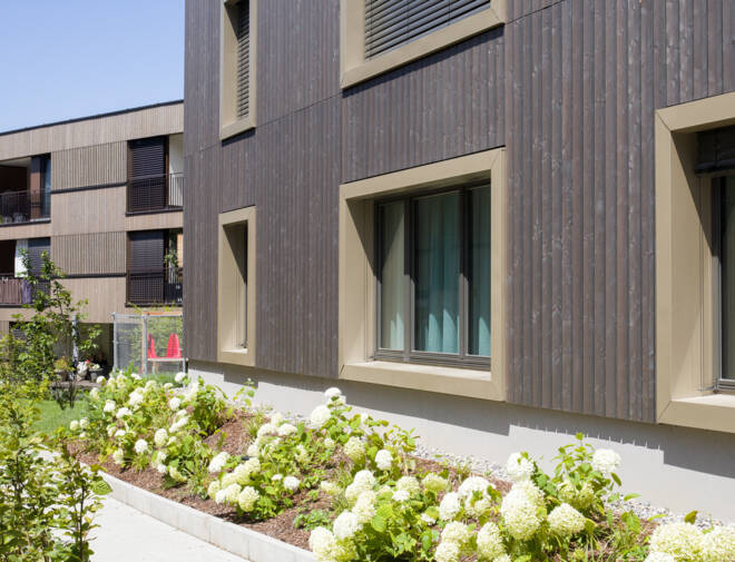 Haselstauderstraße Dornbirn 2025 (5)