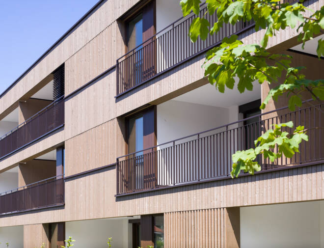 Haselstauderstraße Dornbirn 2025 (3)