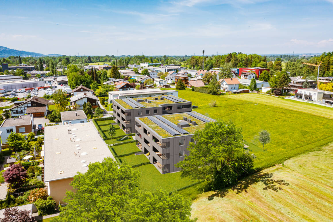 Weidenweg, Dornbirn-Luftbild-Südost