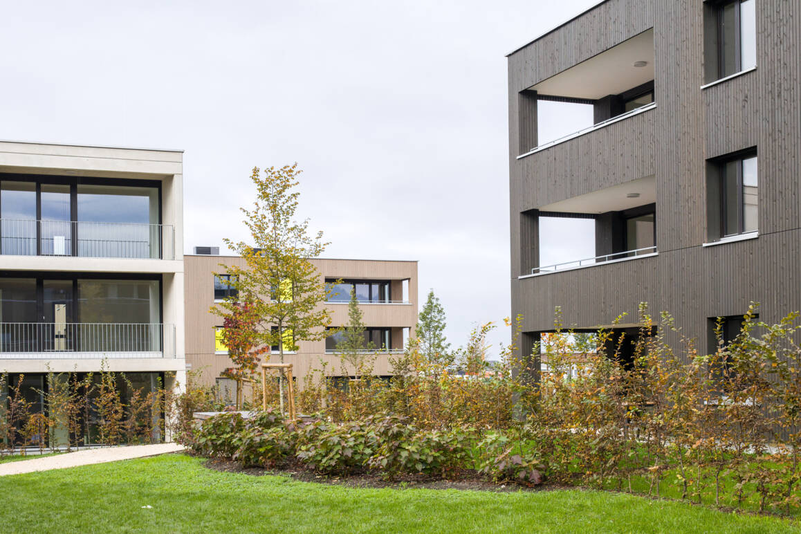 Am Römerstein, Höchst | Haus D (links) Am Römerstein, Höchst | Haus D (links)