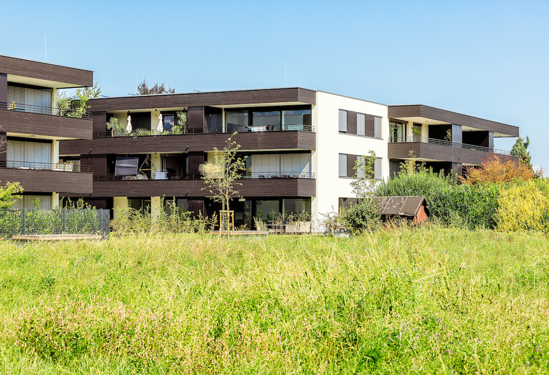 Wohnen am Giessen, Deltastrasse, Höchst