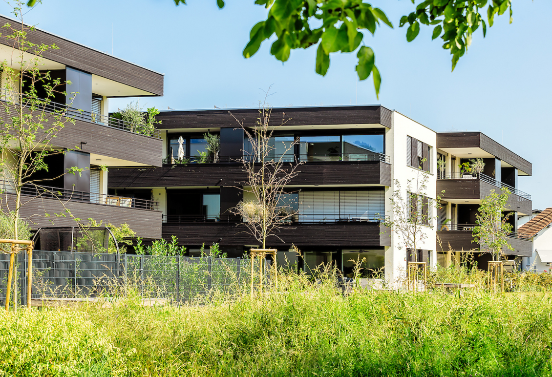 Wohnen am Giessen, Deltastrasse, Höchst