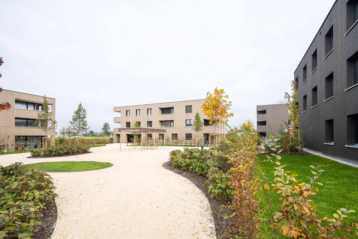 Westansicht_Am Römerstein_Höchst_3 Westansicht_Am Römerstein_Höchst_3 © Dietmar Walser