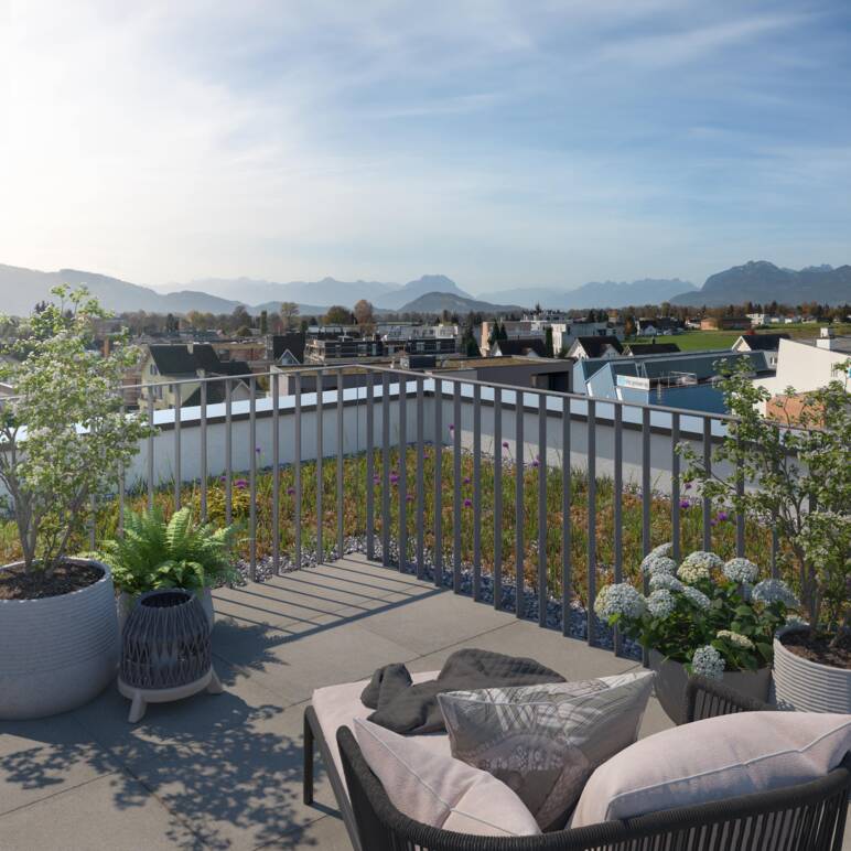 Poststrasse Widnau - Aussicht Poststrasse Widnau - Aussicht