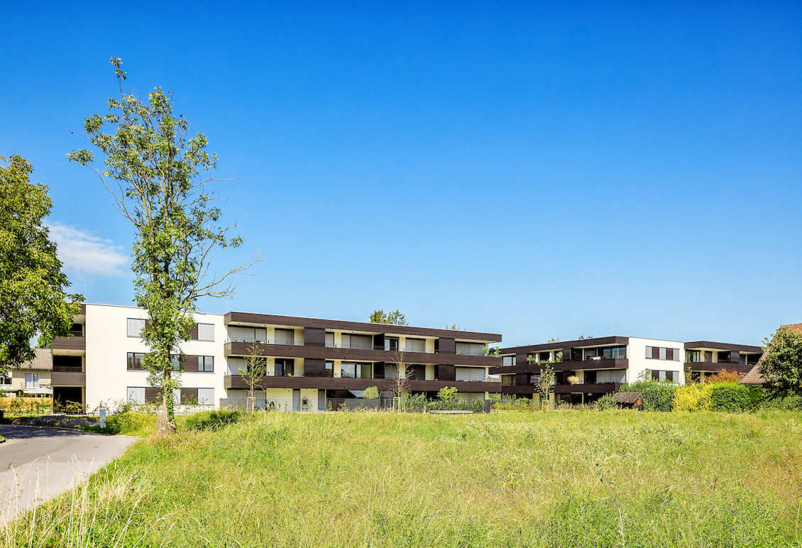 Wohnen am Giessen, Deltastrasse, Höchst